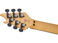 EVH EVH